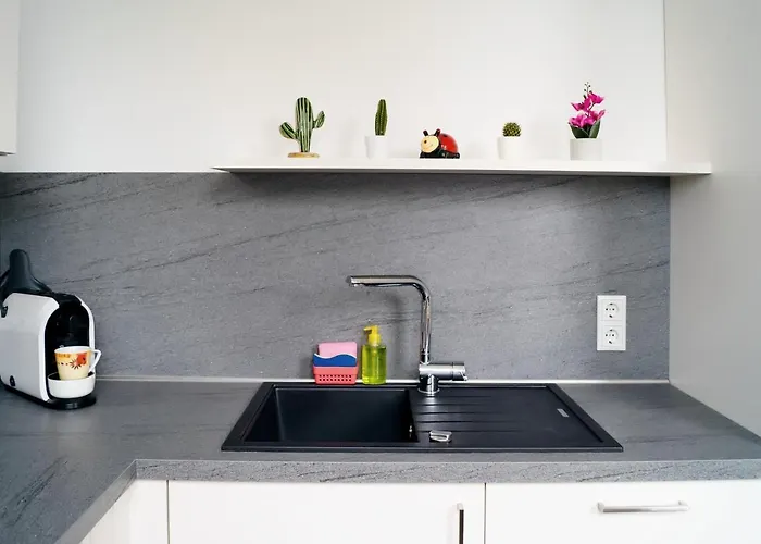 Charmante & Gemuetliche 公寓 *